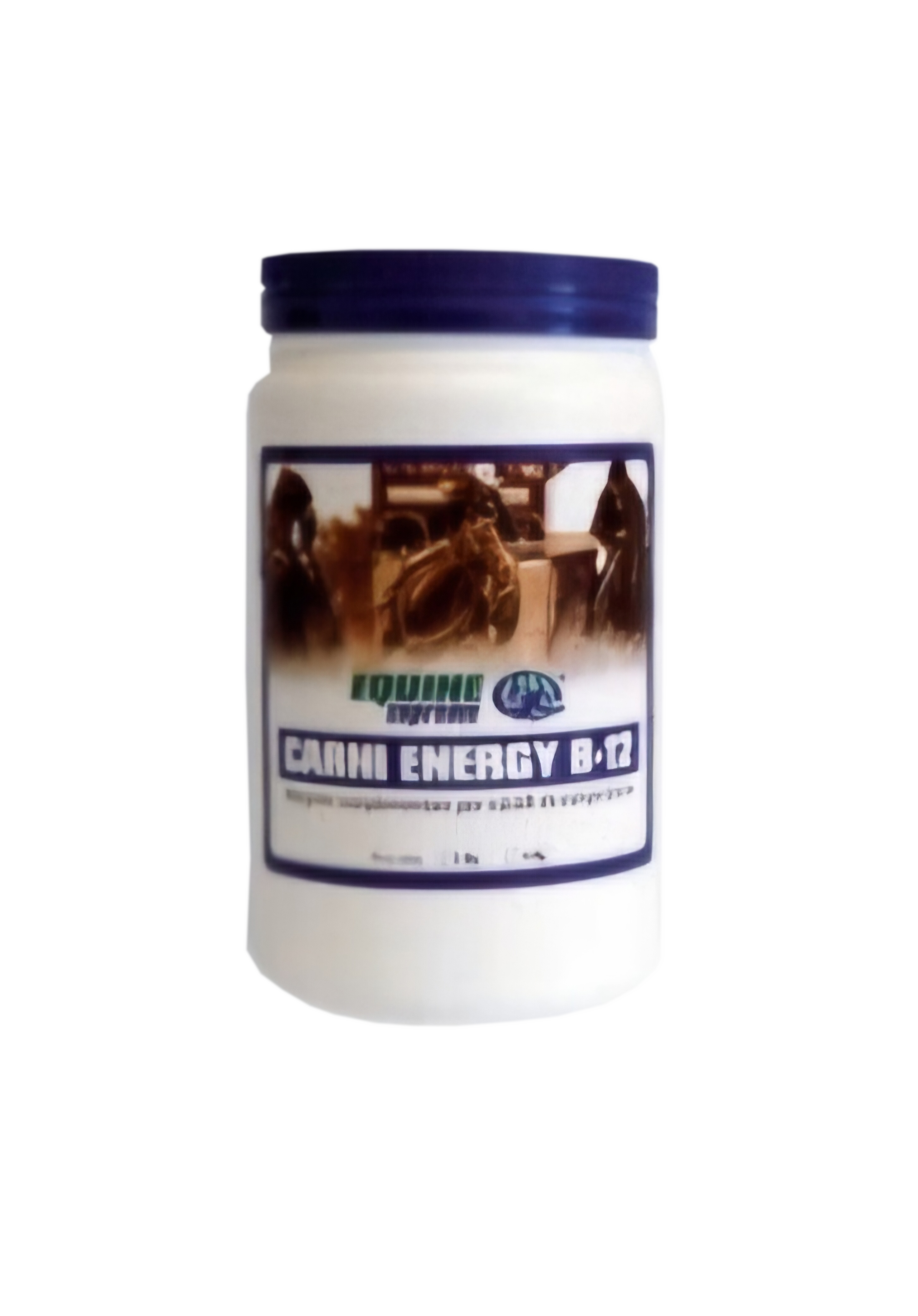 Carni Energy B12 favorisce il metabolismo energetico del cavallo